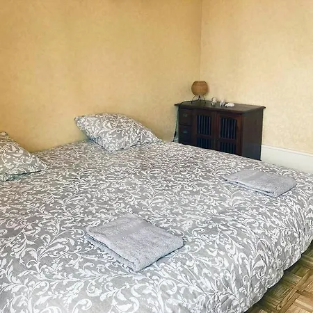 T3 Proche Du Centre-ville 科尔马